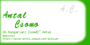 antal csomo business card